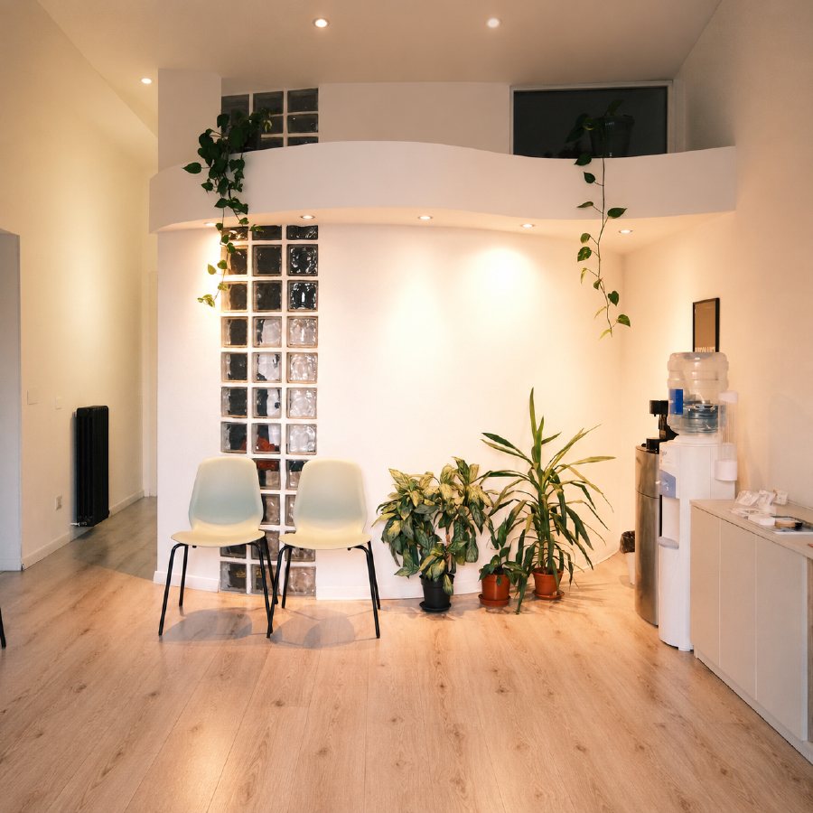 La sala d'attesa dello studio, con due sedie e tante piante